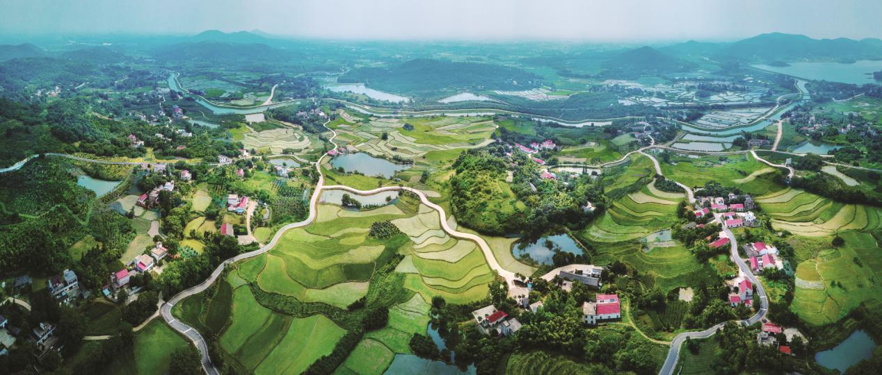 輻射村莊的合肥市農(nóng)村公路網(wǎng)。合肥市交通運輸局供圖