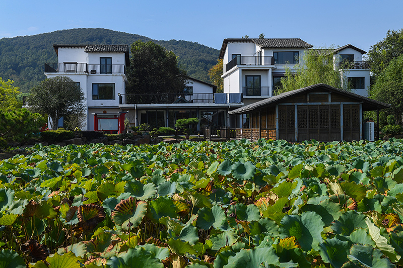 雨悅山房負(fù)責(zé)人原來在馬達(dá)加斯加打理酒店，之所以“從馬達(dá)加斯加到肥東”，源于對家鄉(xiāng)民宿前景看好。吳芳攝