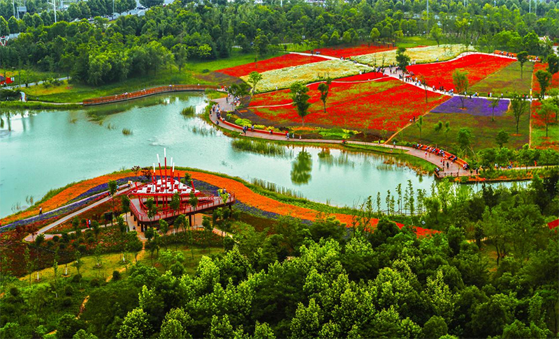 四季花海。陳三虎攝