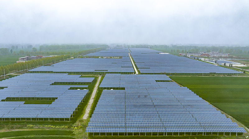 位于渦陽縣臨湖鎮(zhèn)的光伏發(fā)電。渦陽縣委宣傳部供圖.jpg