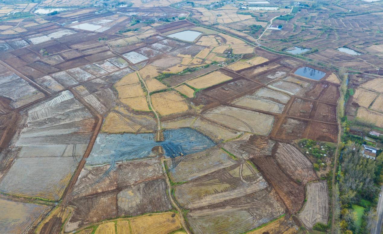 俯瞰棗林村正在建設(shè)的高標(biāo)準(zhǔn)農(nóng)田。徐艷攝