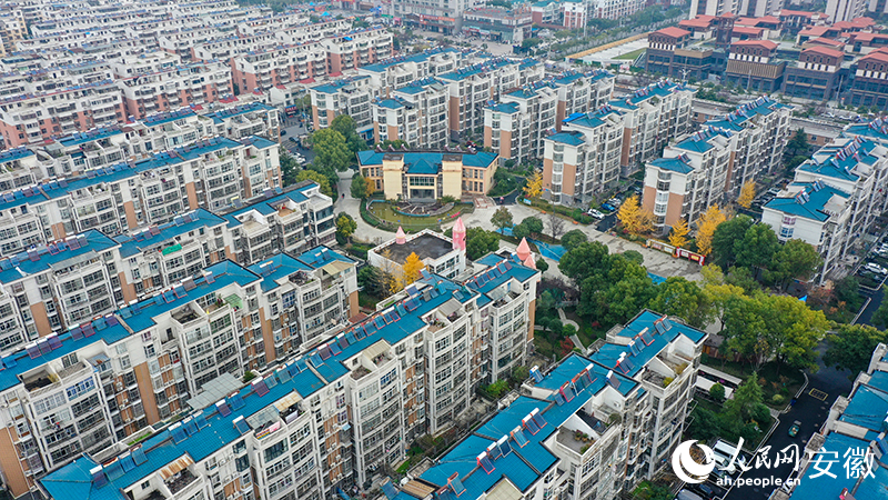 幾株銀杏為小區(qū)平添了幾分初冬韻味和雅致。人民網(wǎng)記者 張俊攝