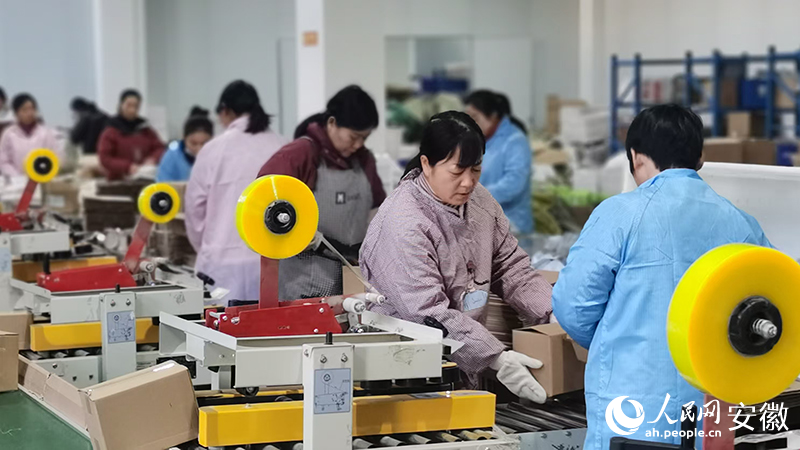 在安徽優(yōu)活食養(yǎng)大健康產(chǎn)業(yè)發(fā)展有限公司，包裝工人正在迅速打包發(fā)貨。人民網(wǎng) 胡雨松攝.jpg