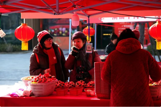 1739931788399765.png 1739931818260.png